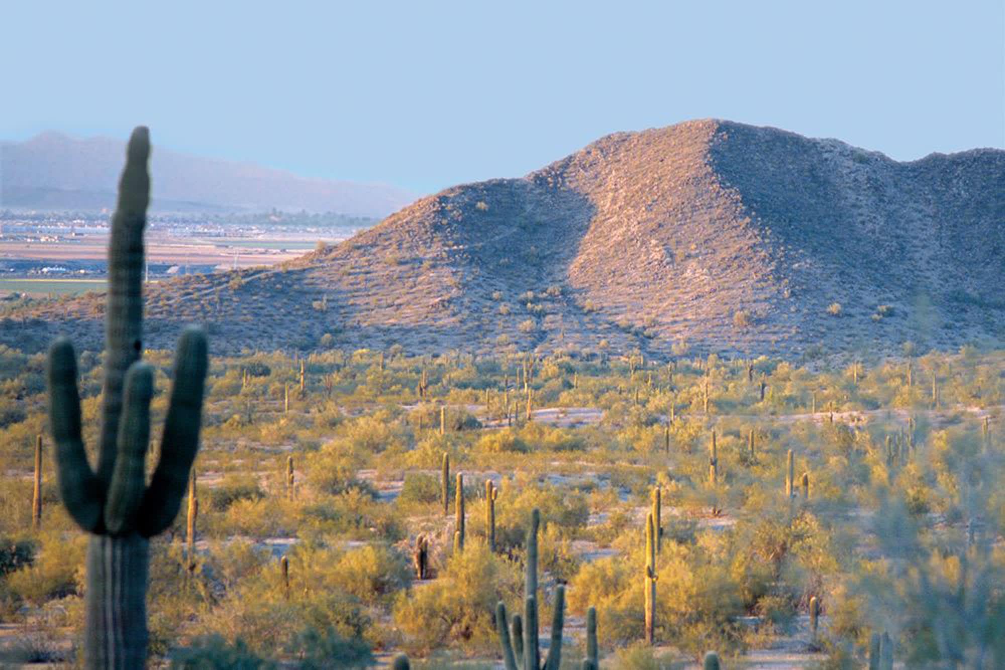 Arizona Desert | Vidrio at Estrella | New homes in Goodyear, Arizona | Landsea Homes