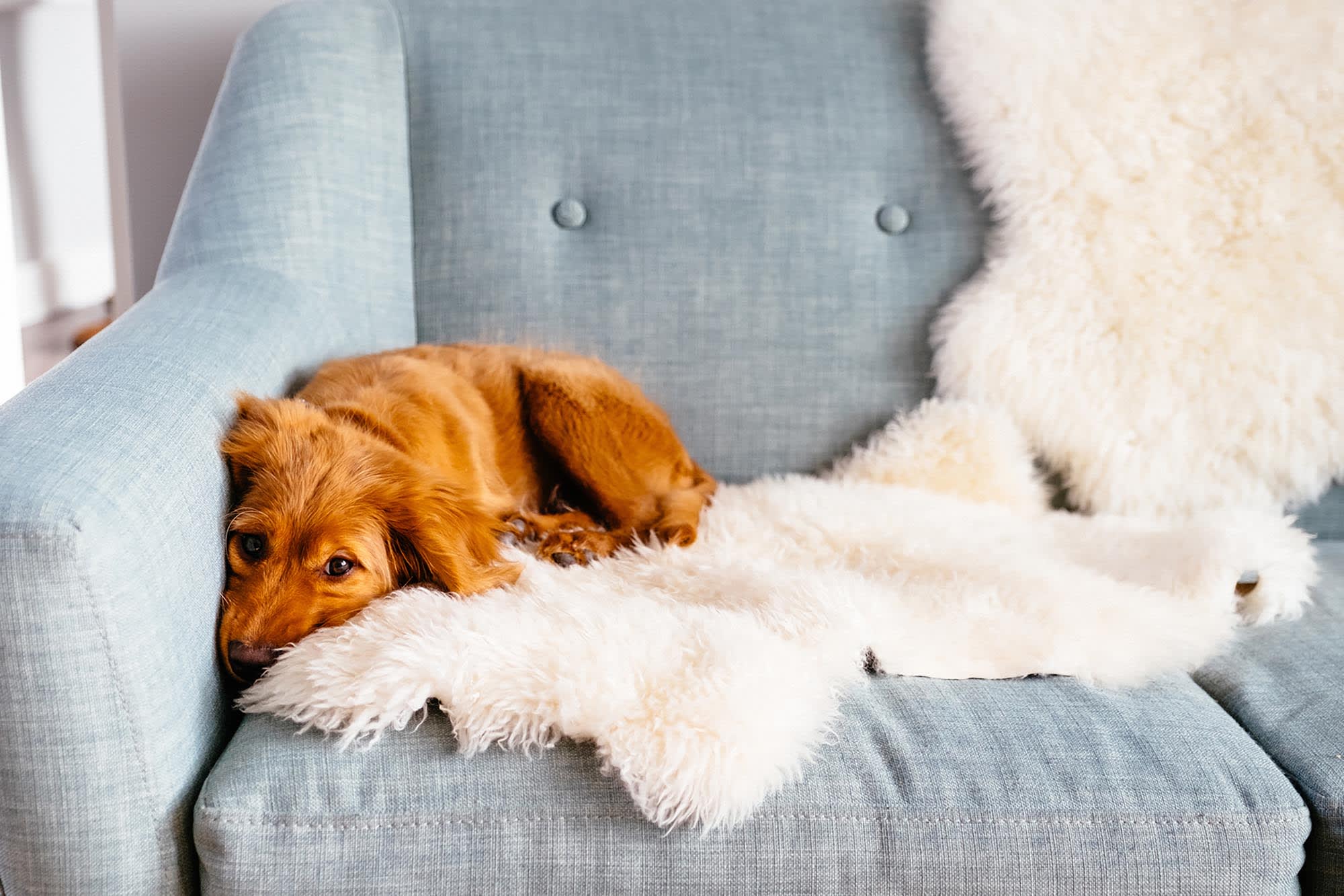 New Homes In Palm Bay Florida For Sale Landsea Homes