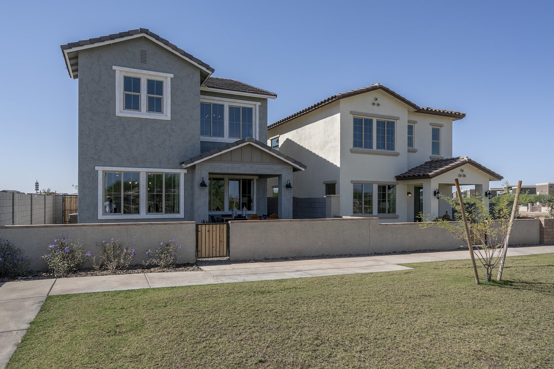 Exterior Backyard | Citron | Greenpointe at Eastmark | New homes in Mesa, Arizona | Landsea Homes
