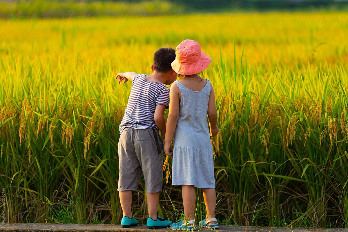 Surrounded by Central Florida's scenic parks | New Homes in DeBary, FL | Landsea Homes