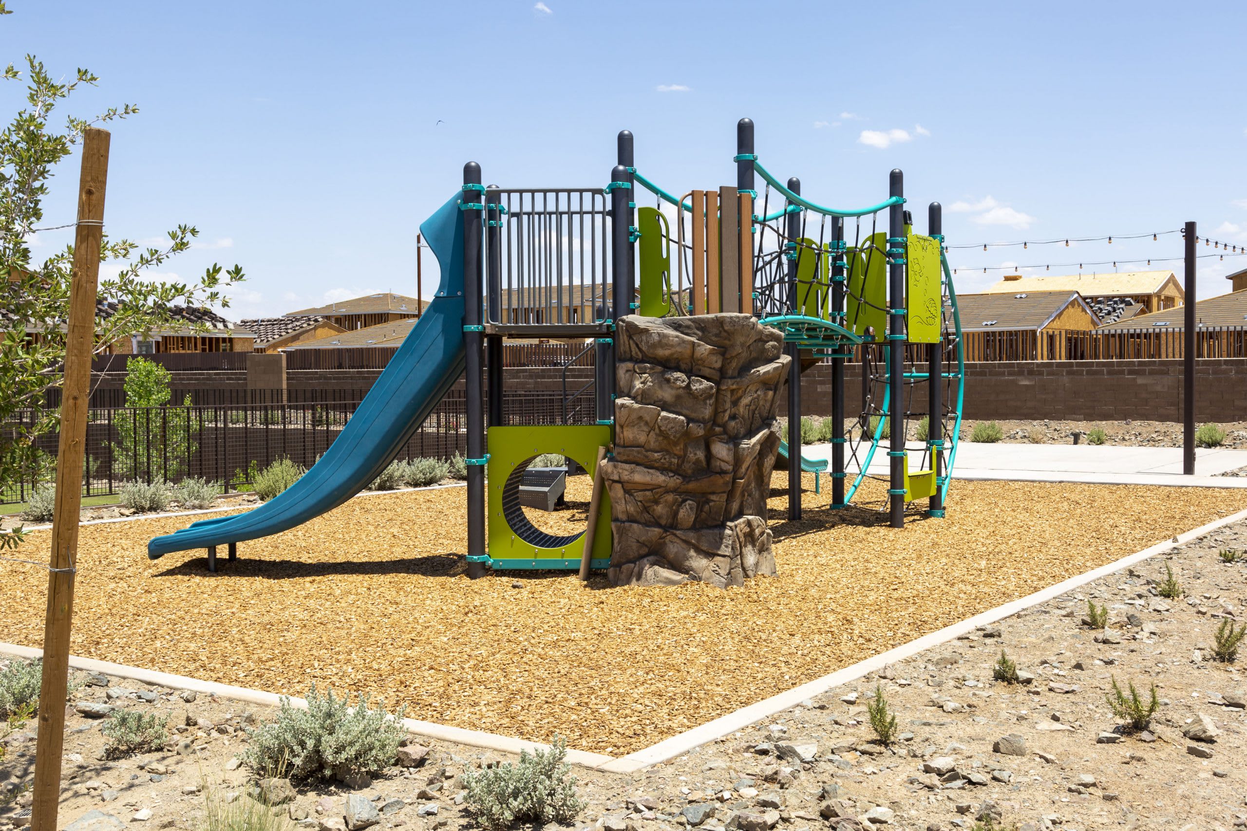 Bernard Park | Rev at Eastmark | New homes in Mesa, AZ | Landsea Homes