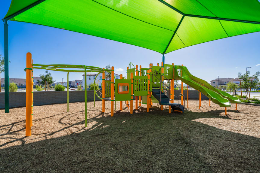 Neighborhood Park | Citrus Park in Goodyear, AZ