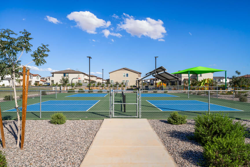 Pickleball Courts | Citrus Park in Goodyear, AZ