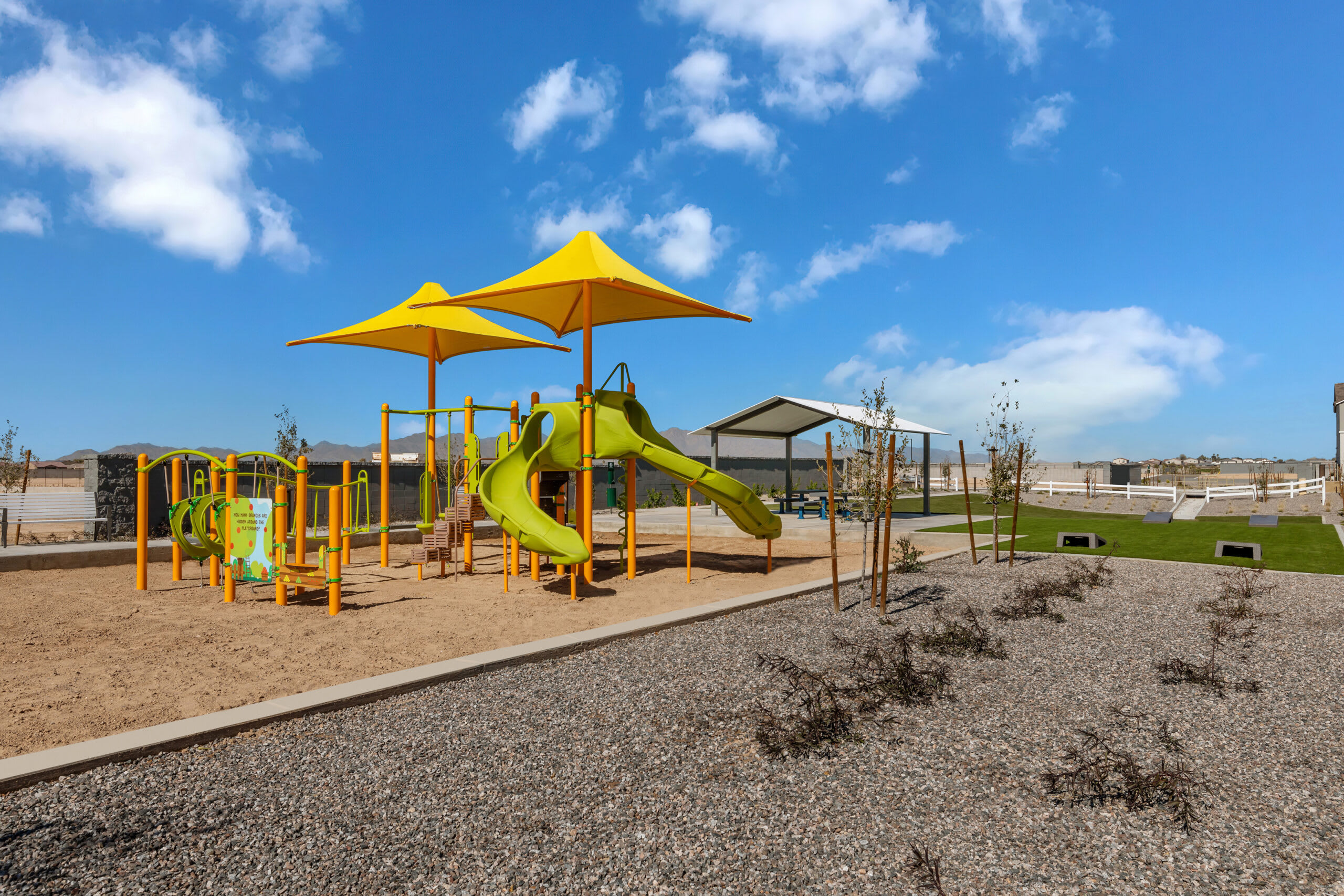 Community Park | Harvest at Citrus Park | New Homes in Goodyear, AZ | Landsea Homes