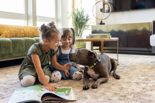 Kids with dog in the living room