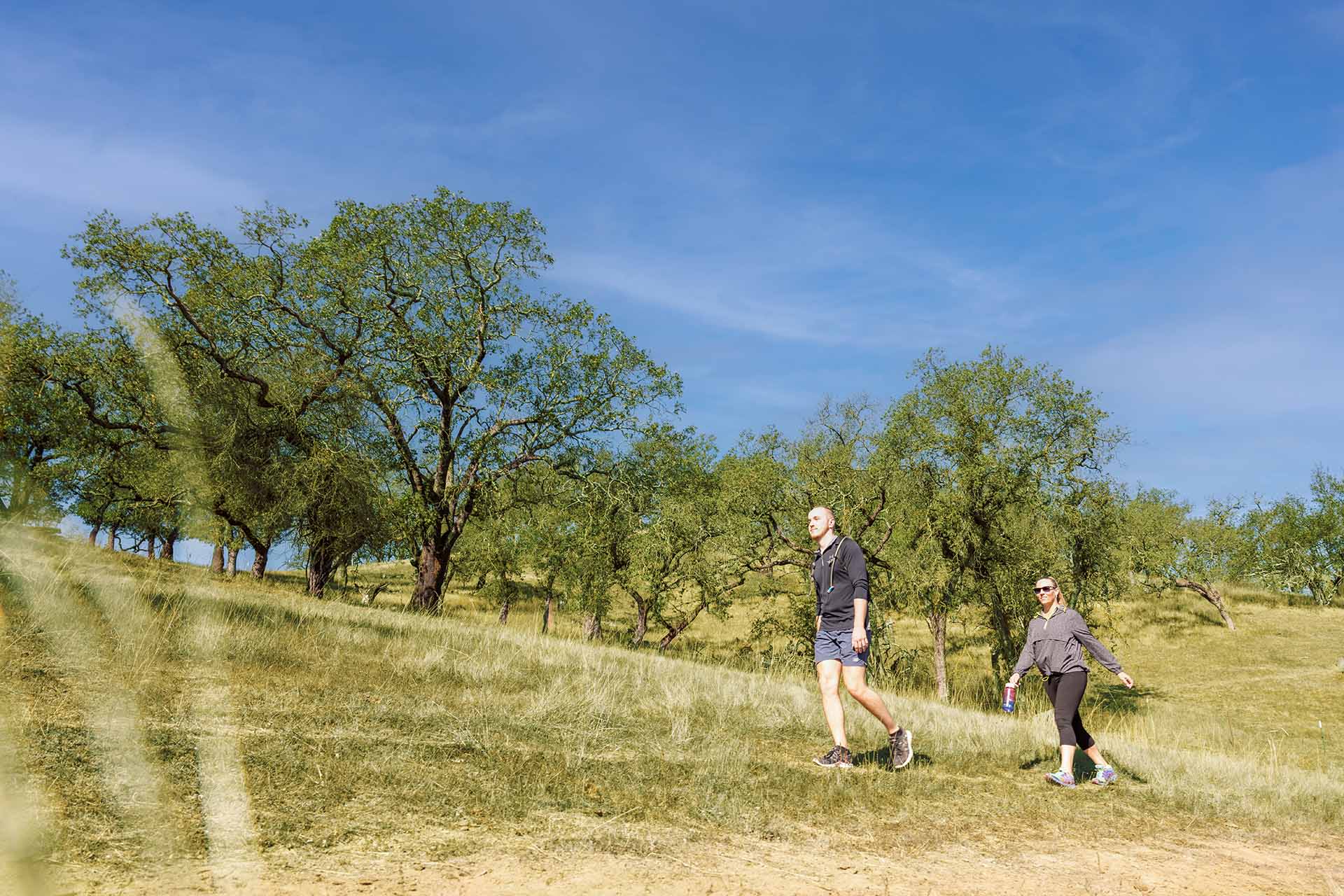 Hiking in the nature