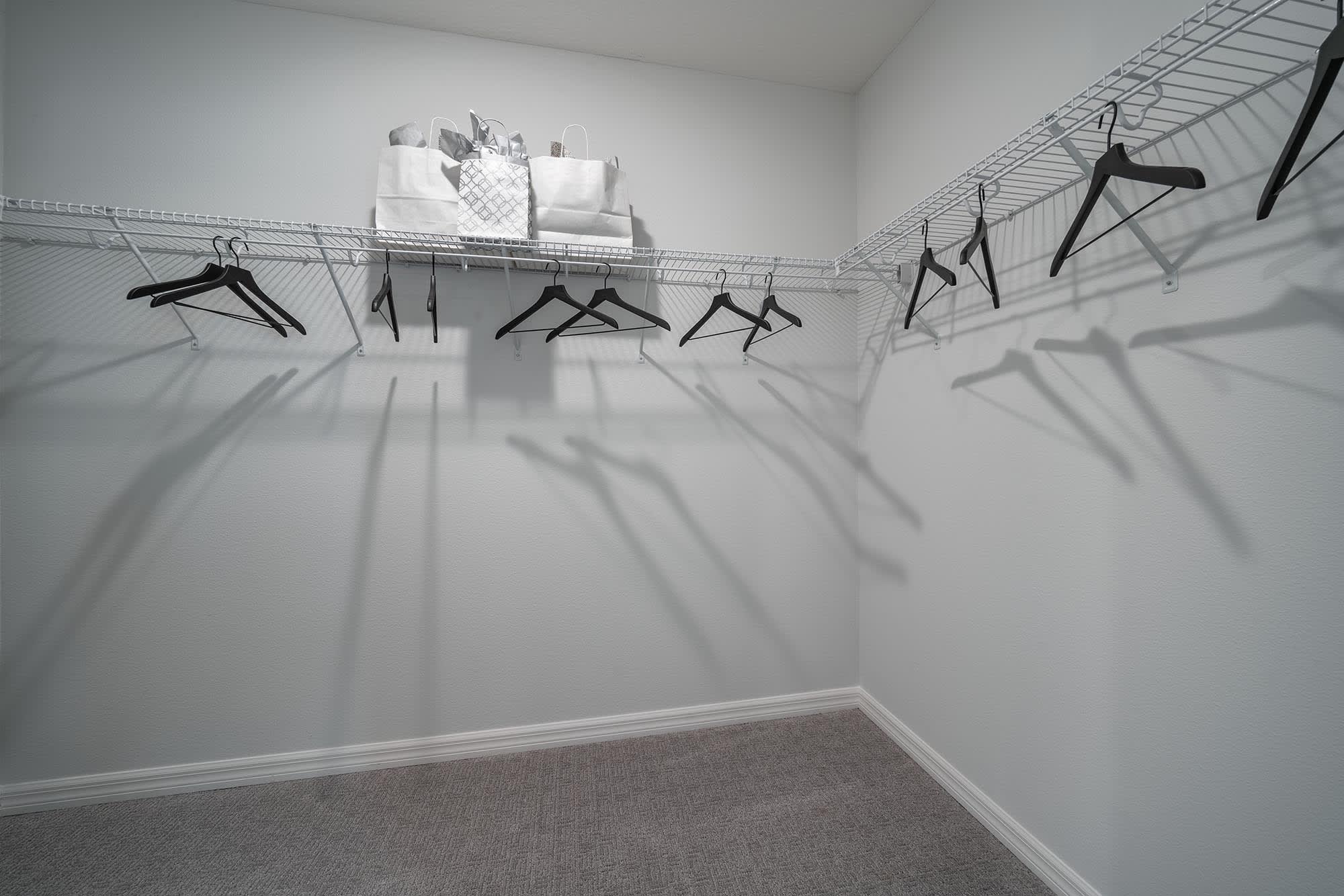 Walk-In Closet | Selby Flex | New Homes in Florida by Landsea Homes