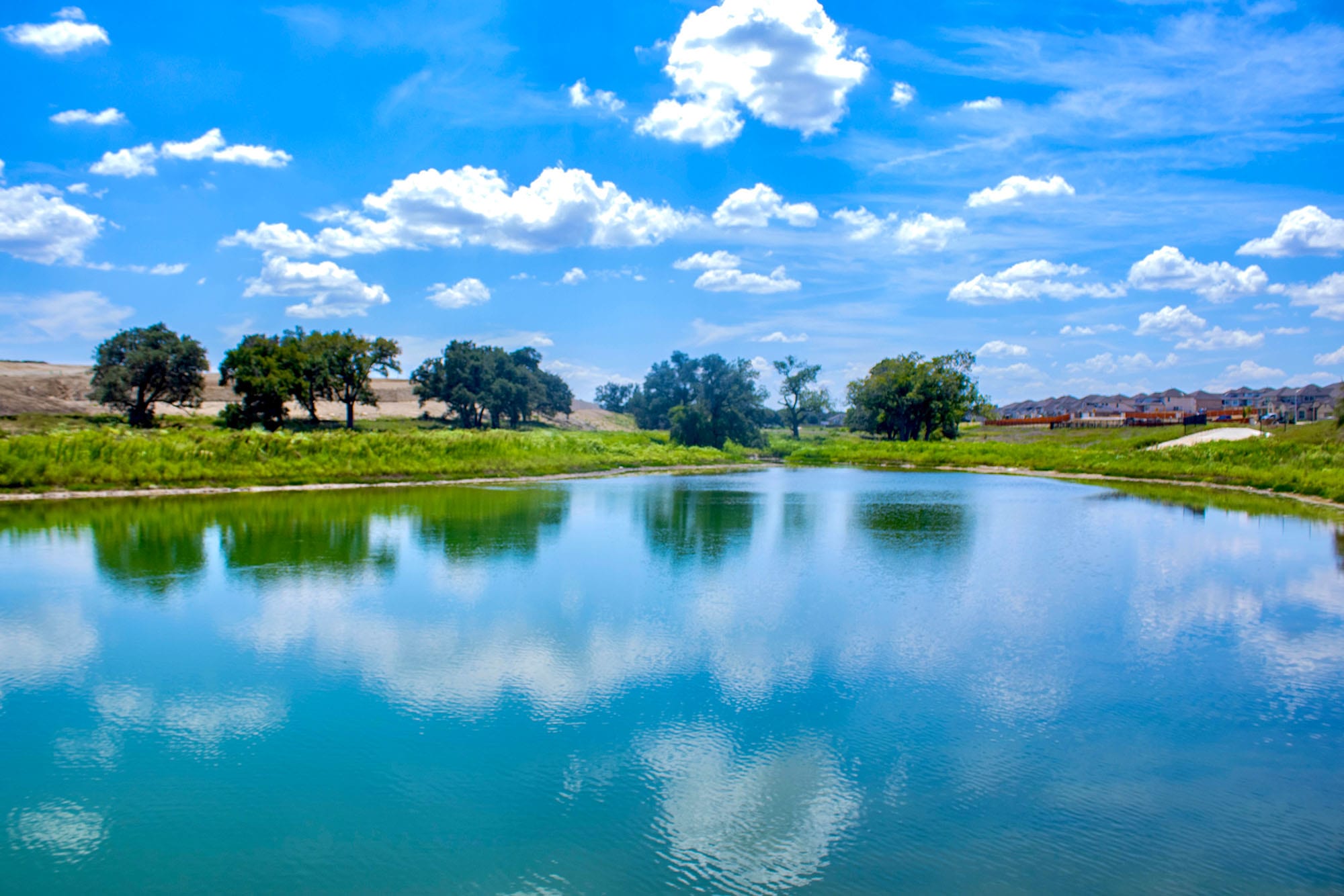 Fish-Stocked Pond