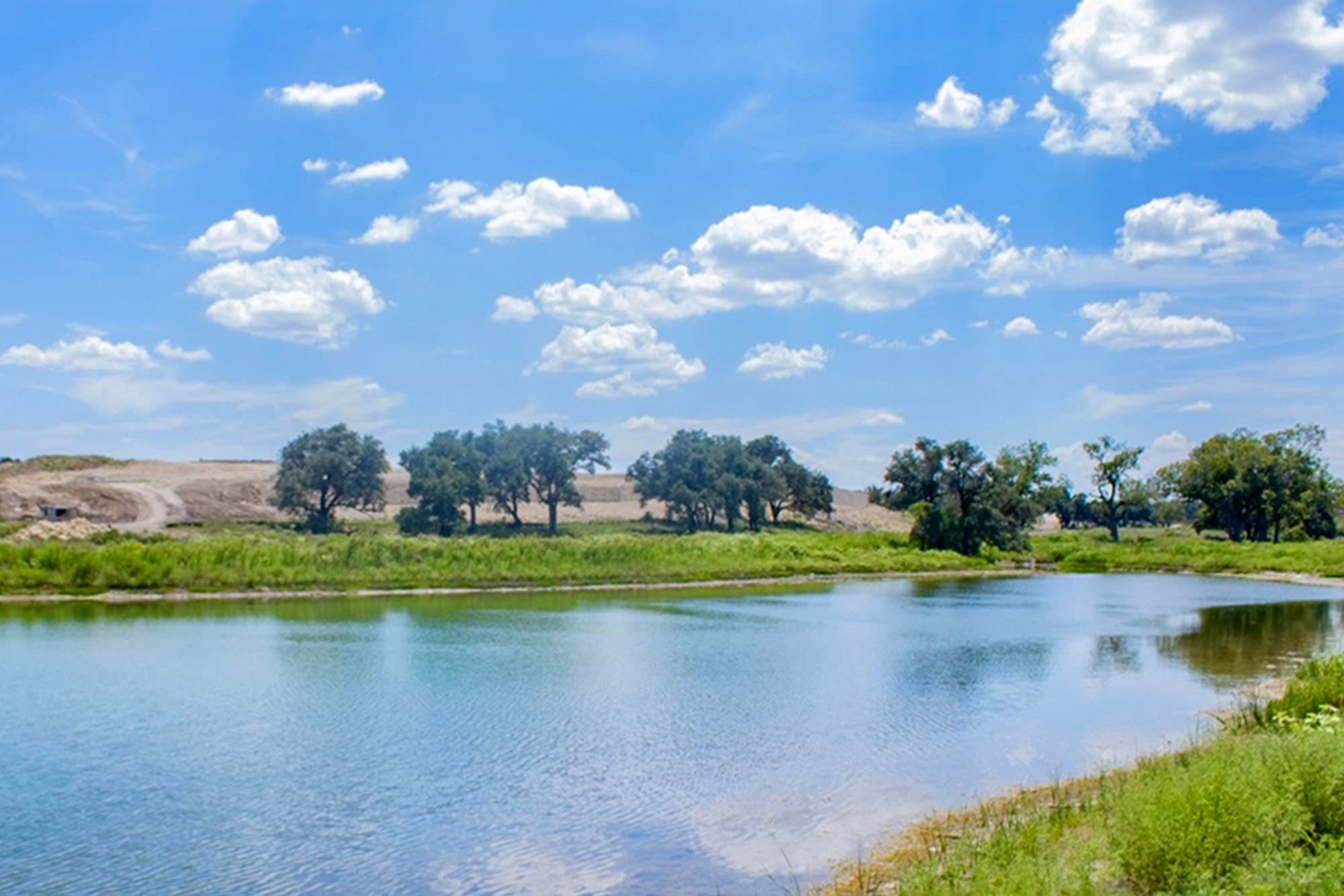 Fish-Stocked Pond