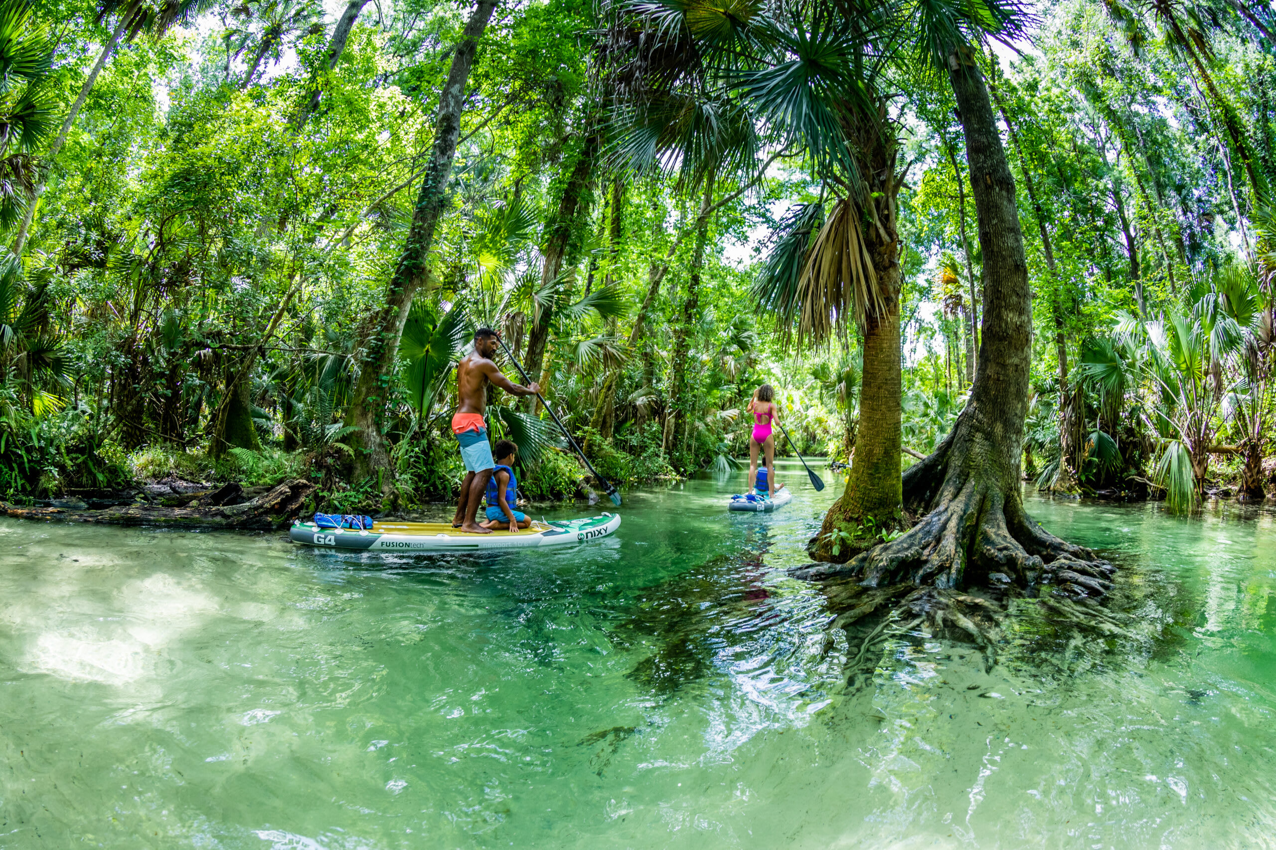 Take a paddleboard adventure at Rock Springs Run | New Homes in Apopka, FL | Landsea Homes