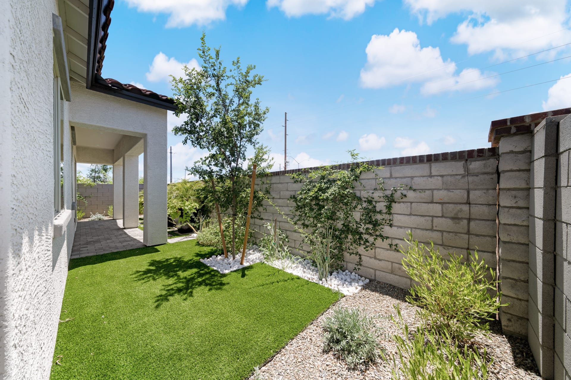 Backyard | Gemini Model Home | Rialta | New homes in Mesa, Arizona | Landsea Homes