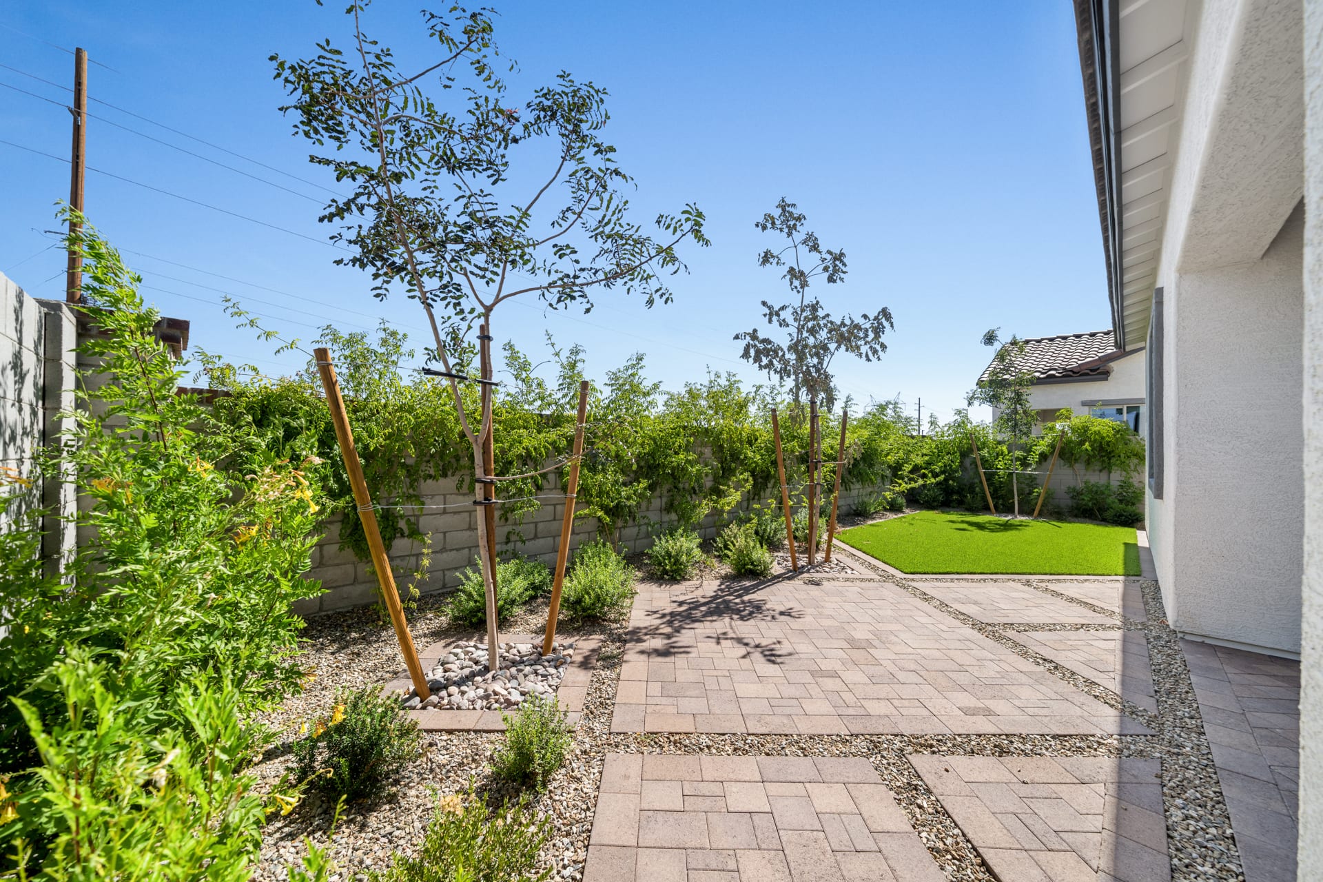 Backyard | Libra Model Home | Rialta | New homes in Mesa, Arizona | Landsea Homes