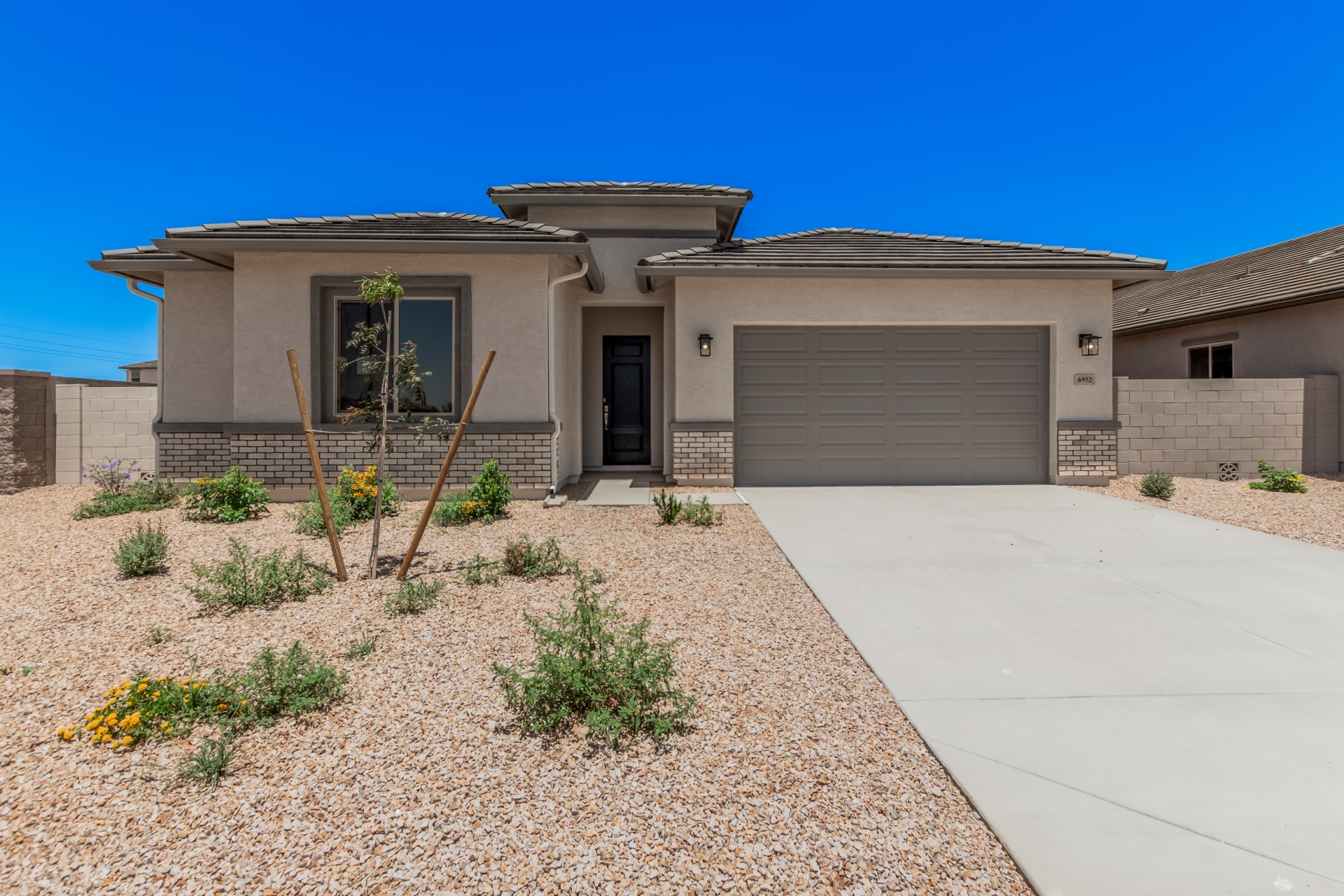 Lot 49 | Pastora | Wildera – Peak Series | New Homes in San Tan Valley, AZ | Landsea Homes