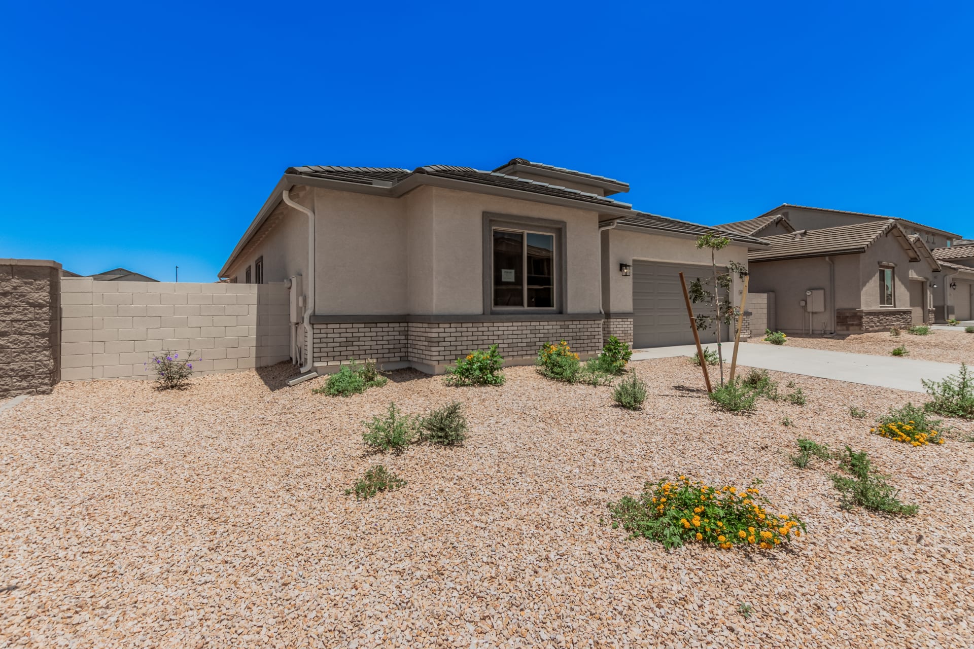 Lot 49 | Pastora | Wildera – Peak Series | New Homes in San Tan Valley, AZ | Landsea Homes