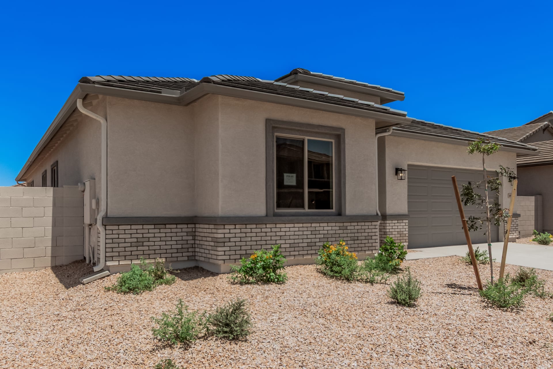 Lot 49 | Pastora | Wildera – Peak Series | New Homes in San Tan Valley, AZ | Landsea Homes
