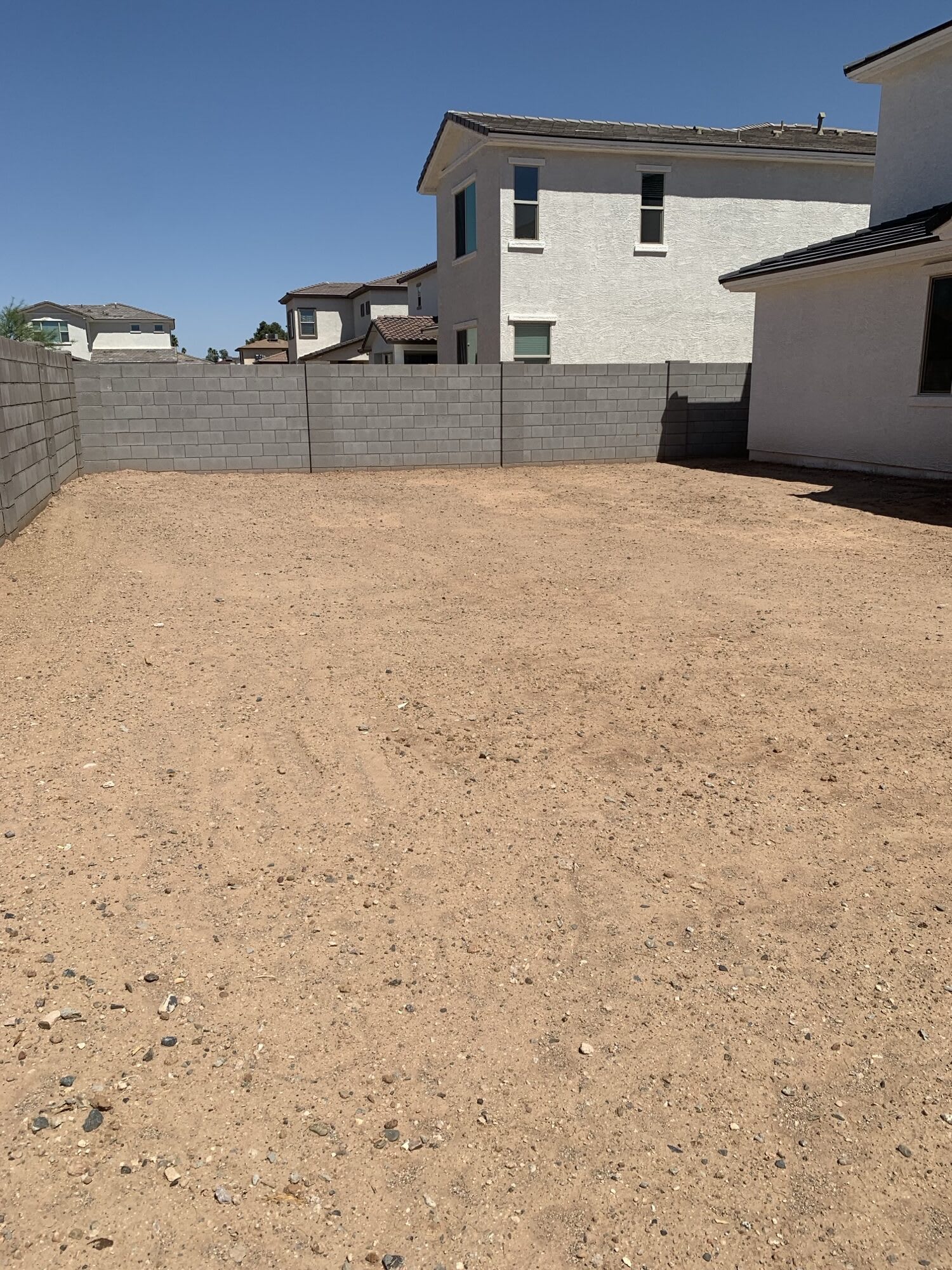 Lot 5 | Spacious Backyard | Malta | Marlowe | New Homes in Glendale, AZ | Landsea Homes