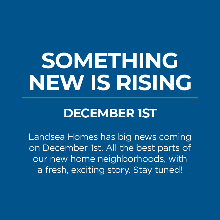 Something New Is Rising December 1st